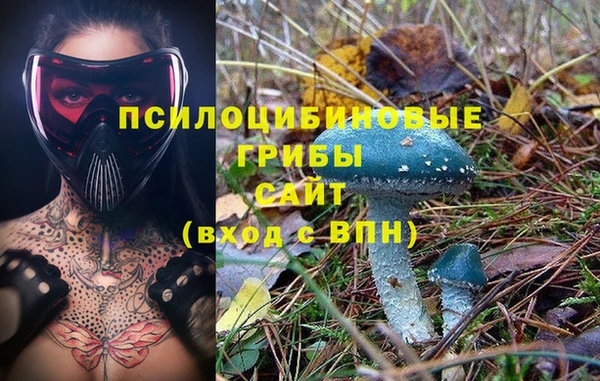 Альфа ПВП Абинск