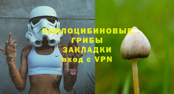 Альфа ПВП Протвино