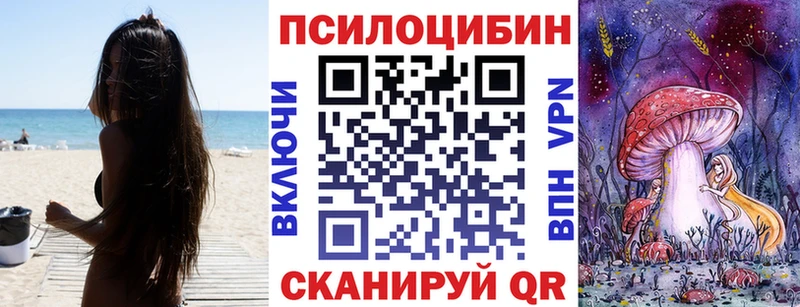 наркотики  omg вход  Галлюциногенные грибы прущие грибы  Щучье 